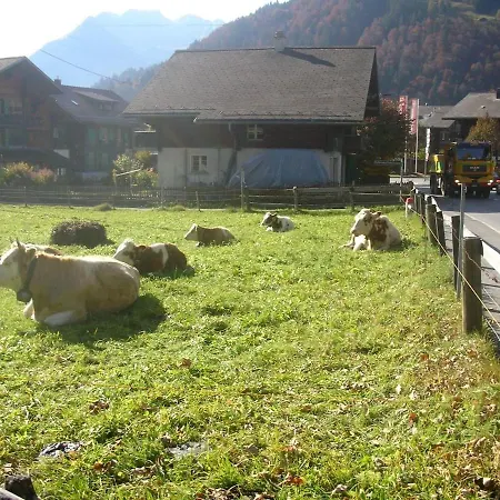 Minutes Walk From Center - Great