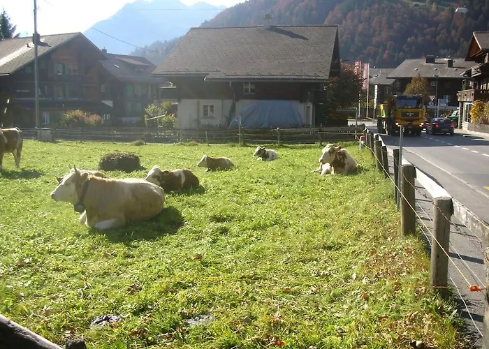 Minutes Walk From Center - Great